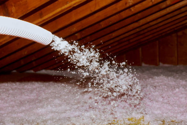 Best Insulation Maintenance and Repair in Cheboygan, MI