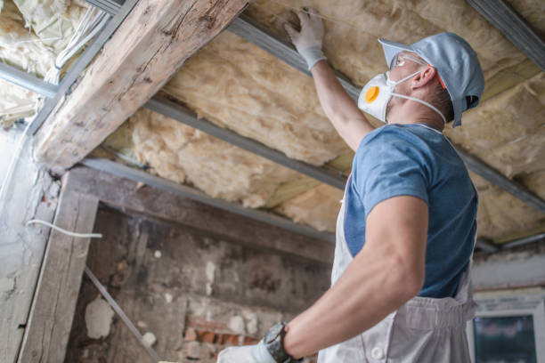Best Insulation Installation Services in Cheboygan, MI